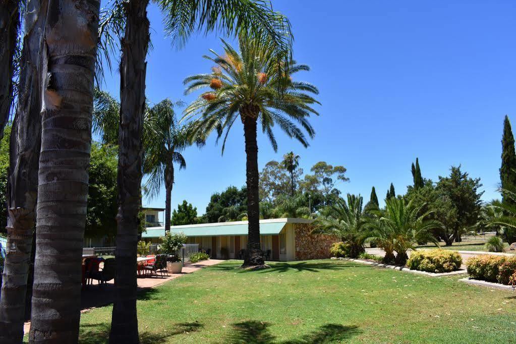 Motel Riverina Leeton エクステリア 写真